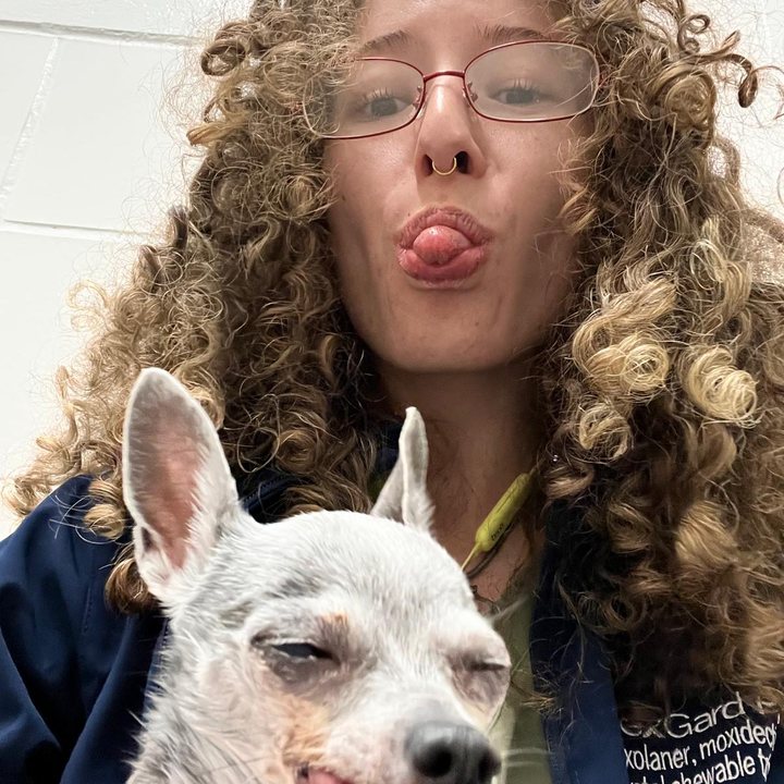 Suari with a white chihuahua